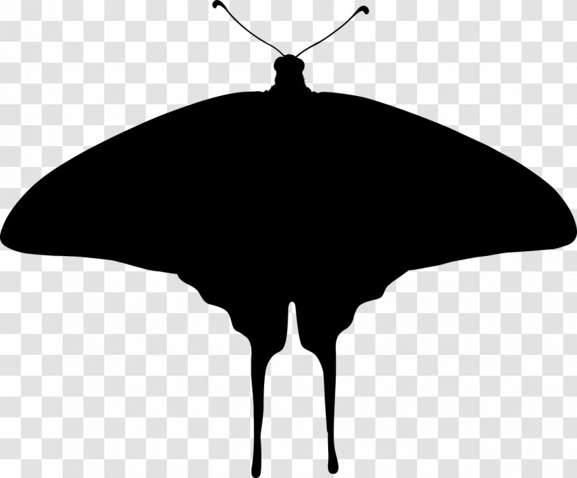 Butterfly Silhouette Clip Art - Beak - Mothman Transparent PNG