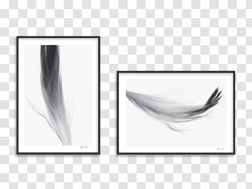 Rectangle Feather Product Design - Black And White Transparent PNG