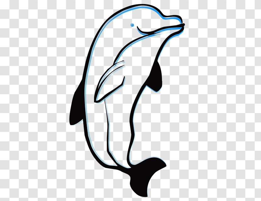 Common Bottlenose Dolphin Tucuxi Wholphin Drawing - Cetacea Transparent PNG