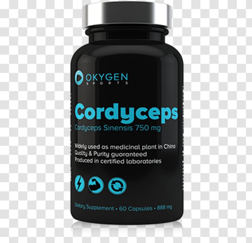 Phenylalanine Branched-chain Amino Acid Essential Dietary Supplement - Service - Cordyceps Transparent PNG