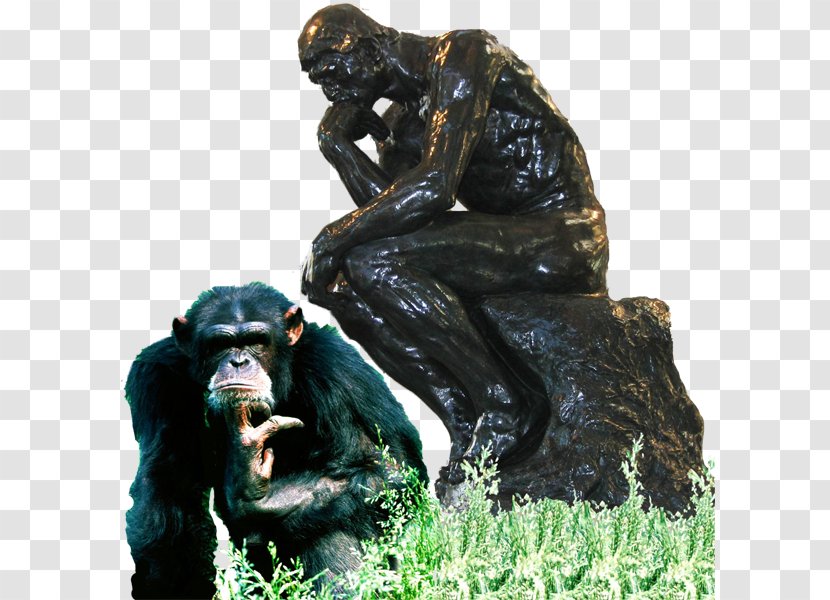 Common Chimpanzee Western Gorilla Sculpture Monkey Pyrexia EP - Primate - Hemingway Transparent PNG