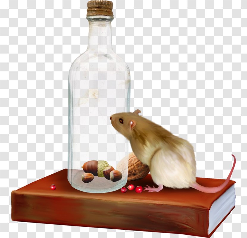 Rat Computer Mouse Clip Art - Glass Bottle Transparent PNG