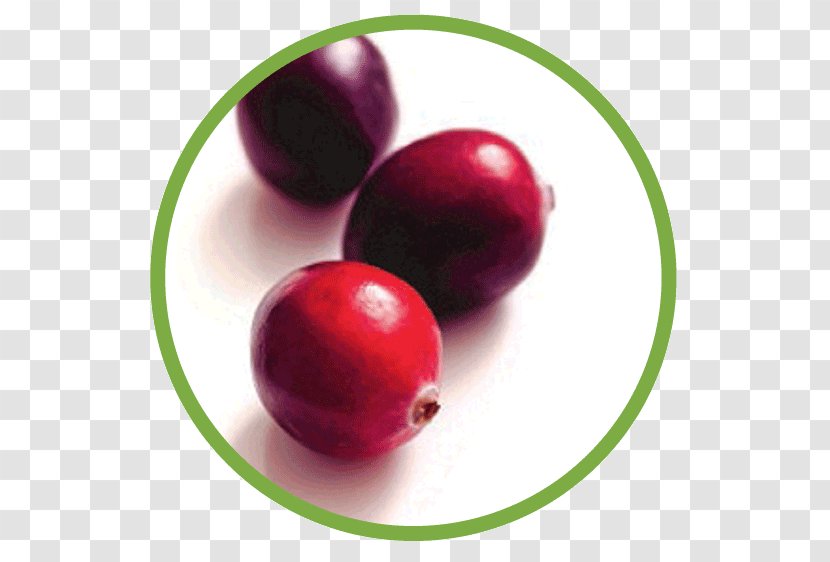 Cranberry Juice Food Transparent PNG