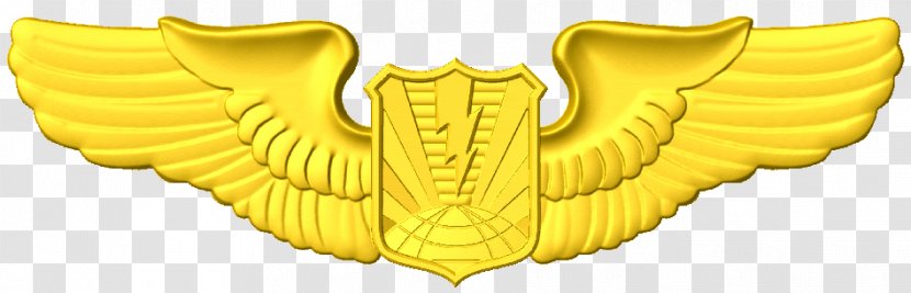 U.S. Air Force Aeronautical Rating United States Aviator Badge Wing - Unmanned Aerial Vehicle - Cnc Army Aviation Wings Transparent PNG