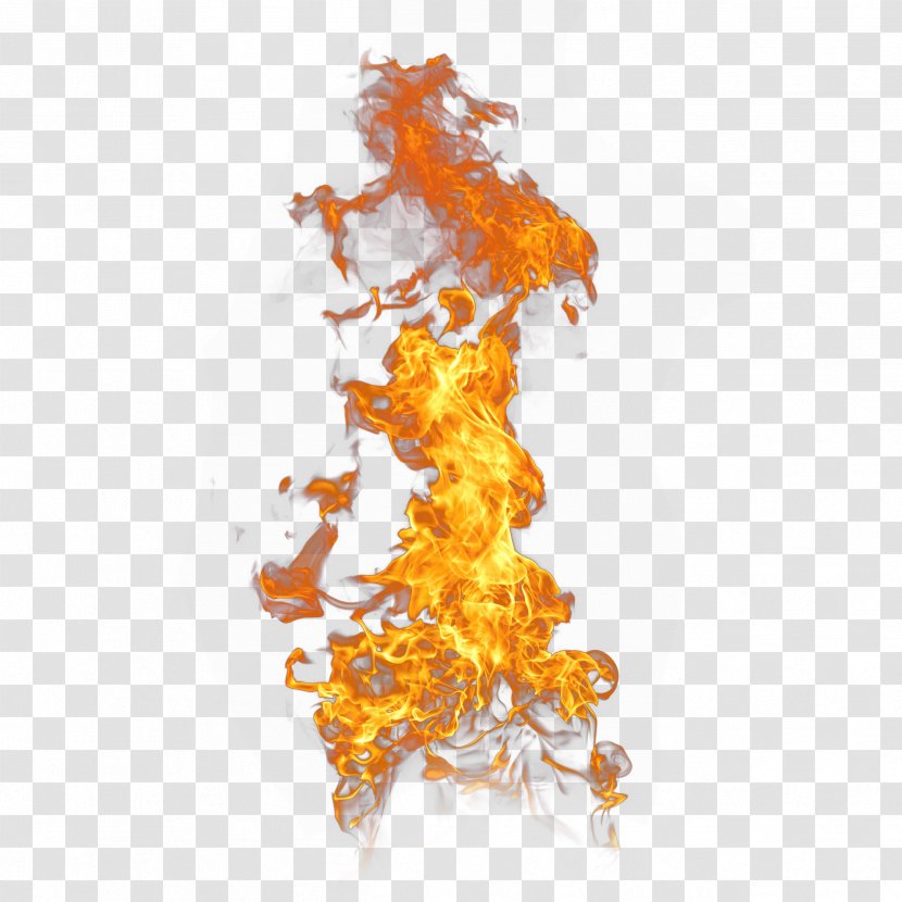 Flame Effect - Fond Blanc Transparent PNG