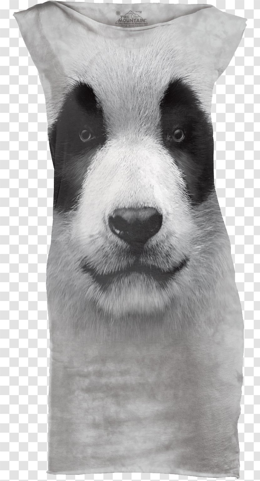 Pug Puppy Pit Bull Animal Snout - Face - Koala Transparent PNG