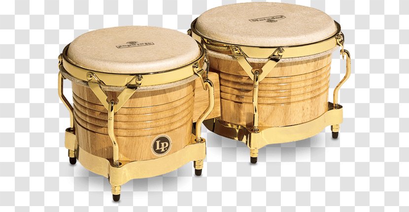 Bongo Drum Latin Percussion Conga - Frame Transparent PNG