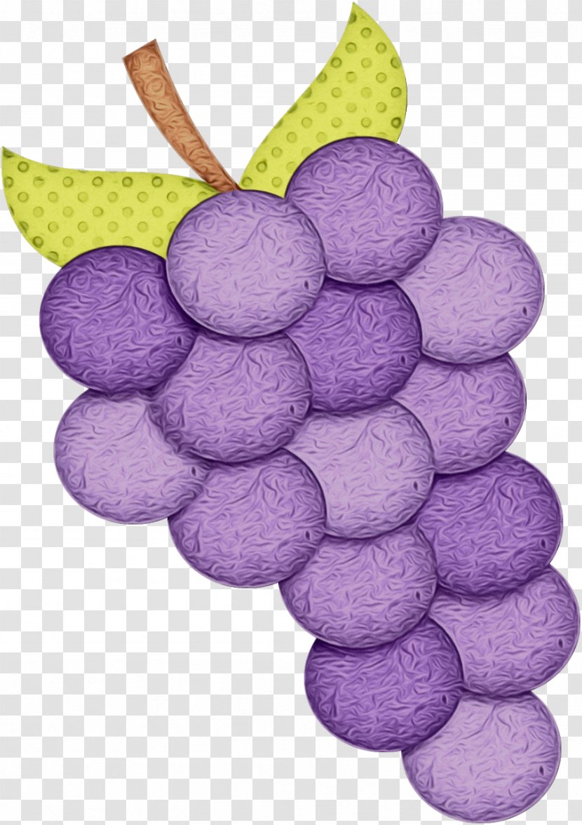 Grape Cartoon - Grapevine Family - Plant Fruit Transparent PNG