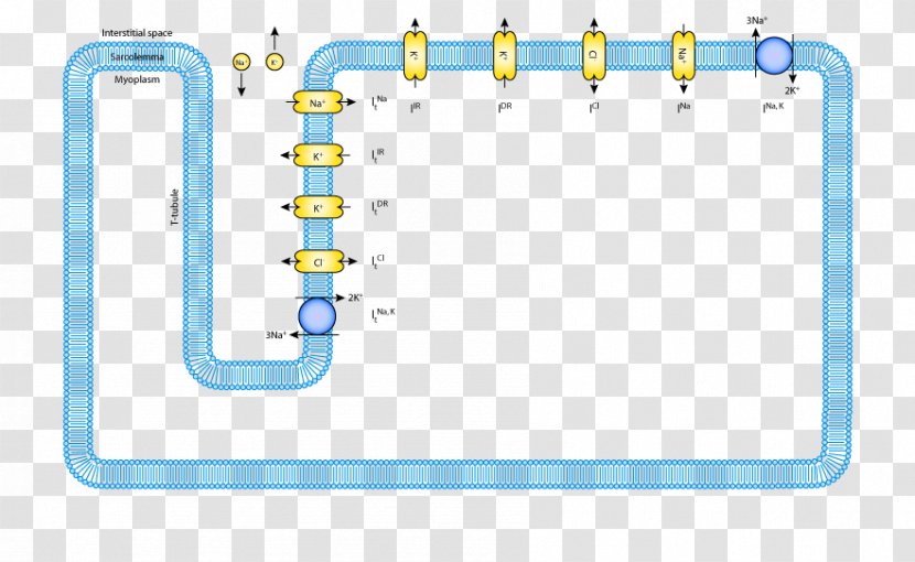 Brand ParallelM Technology - Yellow - Mathematical Transparent PNG