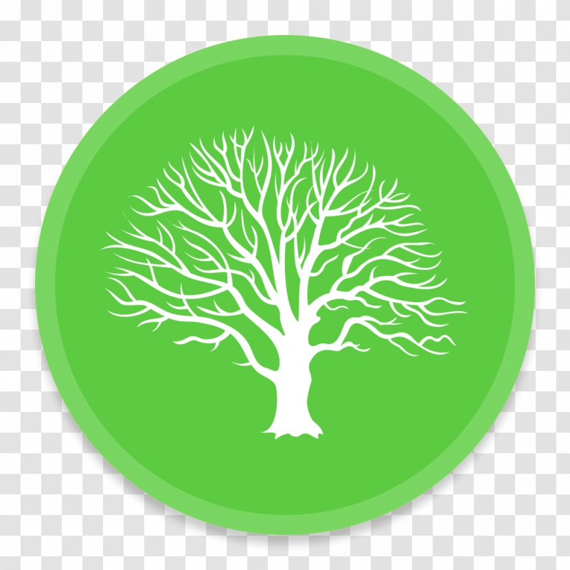 Plant Flora Leaf Tree Font - MacFamilyTree Transparent PNG