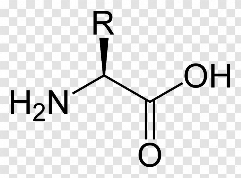 Proteinogenic Amino Acid Aspartic Amine - Black And White - L Transparent PNG