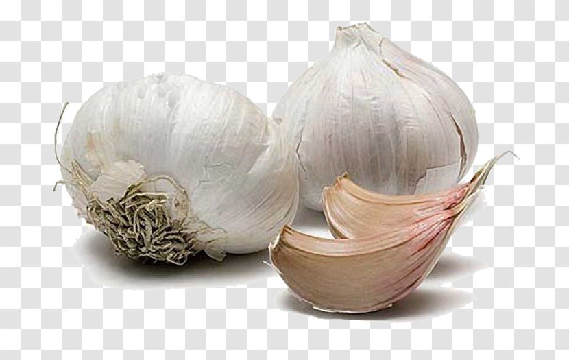 Garlic Powder Leaf Vegetable Spice - Onion Transparent PNG