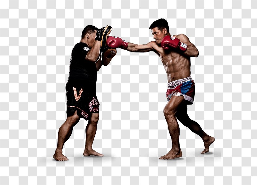 Muay Thai Mixed Martial Arts Evolve MMA Boxing - Glove Transparent PNG