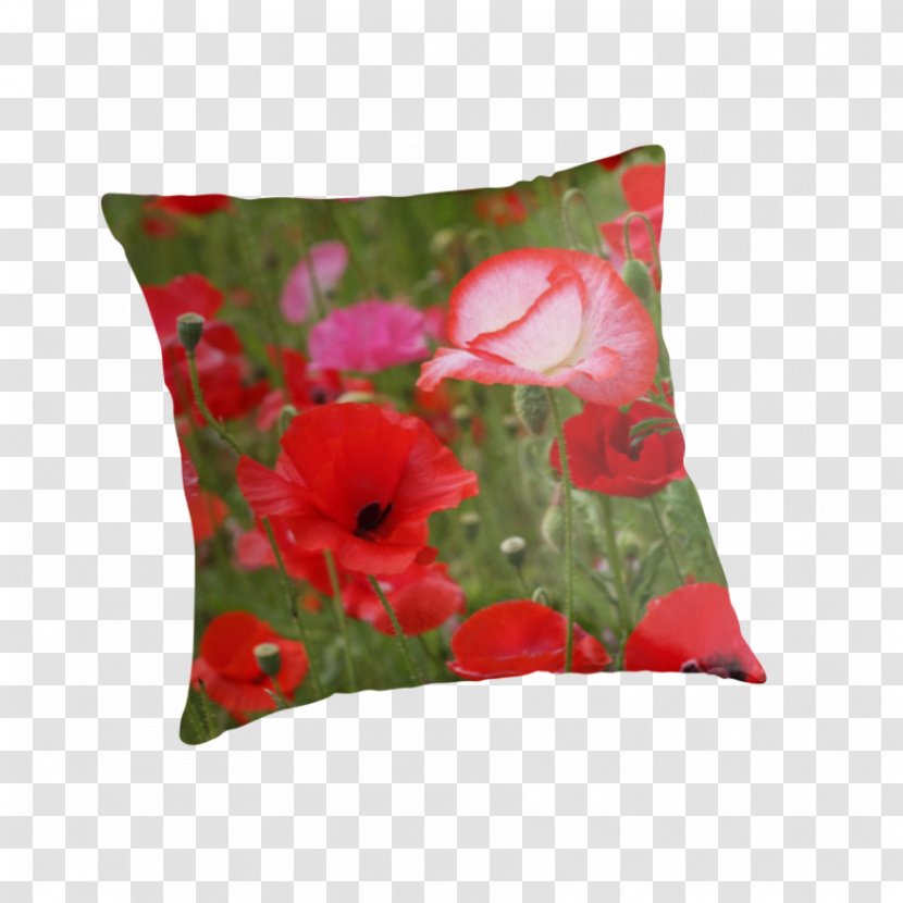 Cushion Throw Pillows Malvales - Flowering Plant - Pillow Transparent PNG