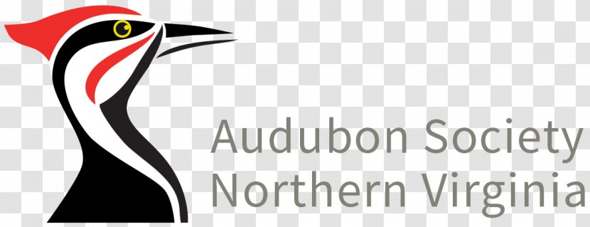 National Audubon Society Periodontology United States Periodontal Disease Medicine - Surgery Transparent PNG