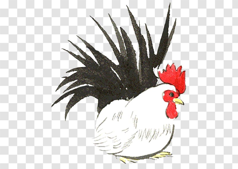 Rooster Chicken White Illustration - Cock Transparent PNG