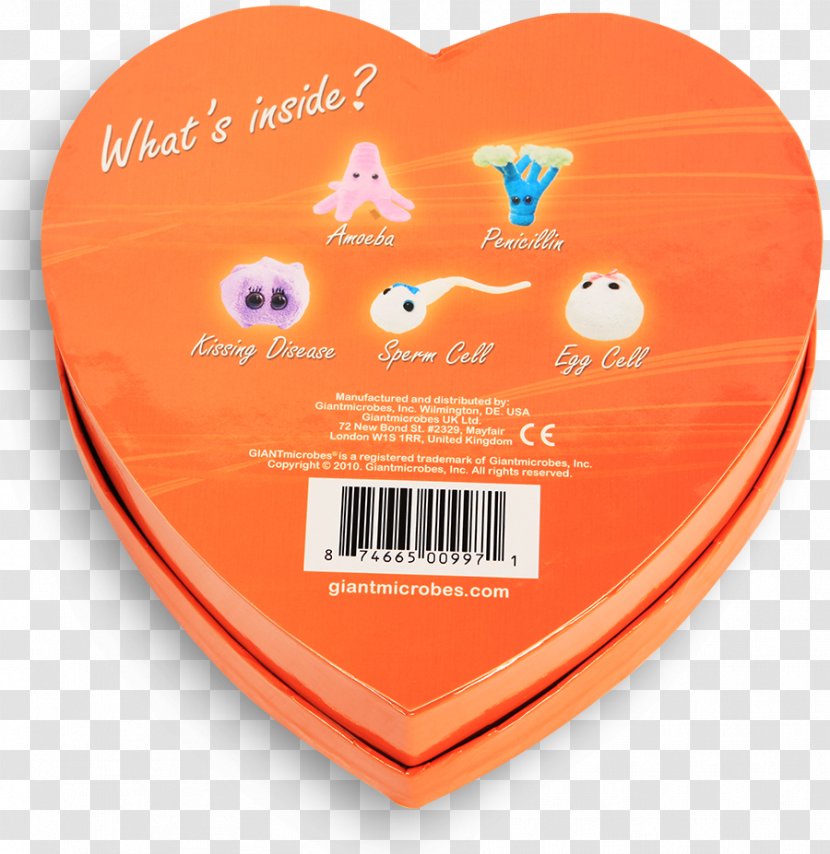 GIANTmicrobes Microorganism Heart Box Gift - Flower Transparent PNG