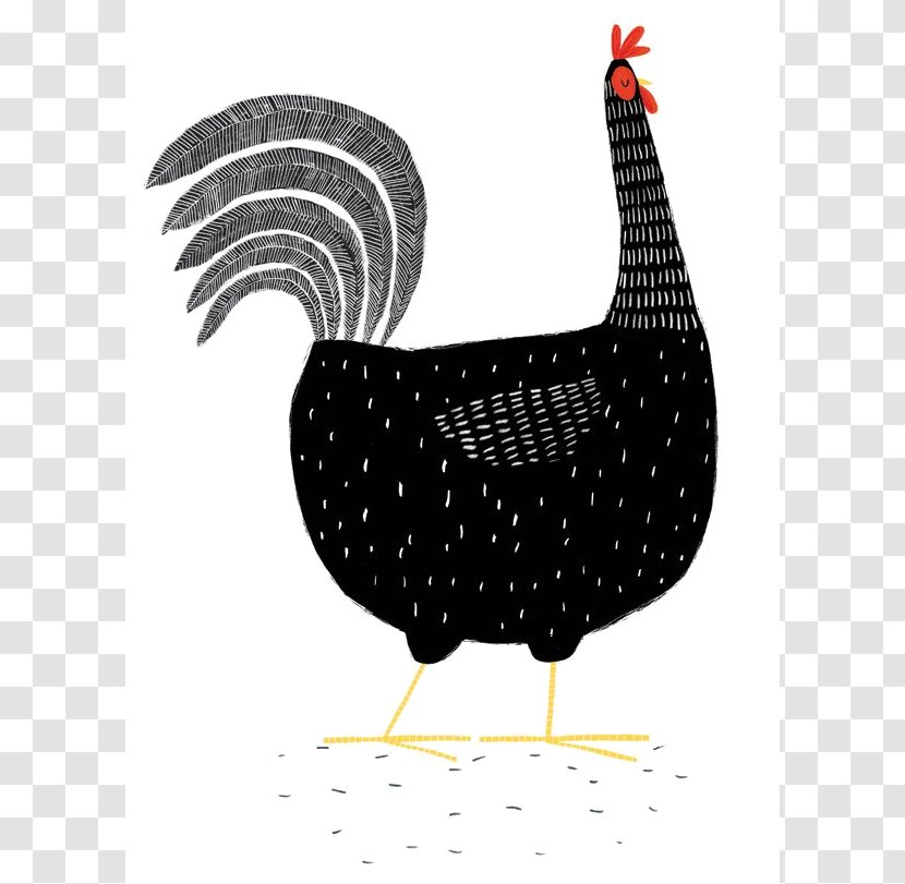 Plymouth Rock Chicken Hen Drawing Illustrator - Art - Painting Transparent PNG