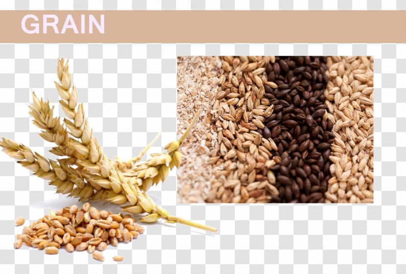 Organic Food Wheat Beer Cereal - Gluten Transparent PNG