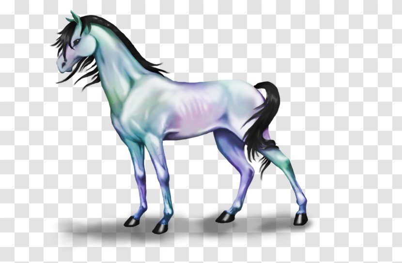 Foal Stallion Mane Mare Colt - Mustang Transparent PNG