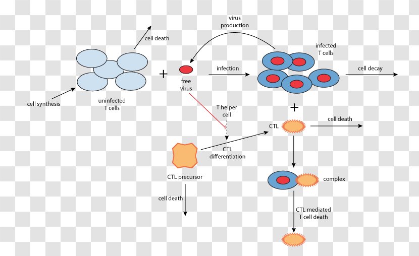 Diagram Brand - Frame - Technology Transparent PNG