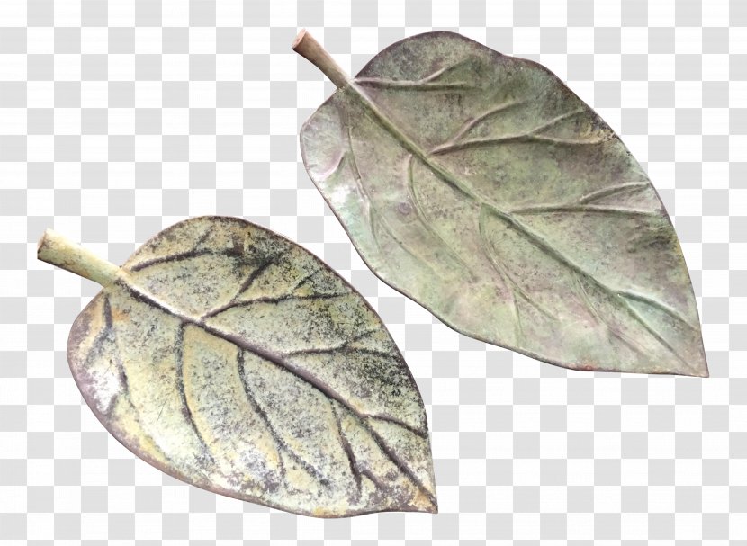 Leaf Plant - Banana Transparent PNG