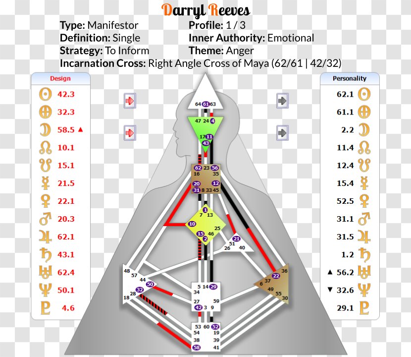 Person Homo Sapiens Self Mind - Design Transparent PNG