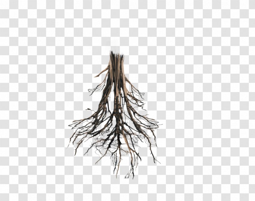 Tree Root Trunk Oak - Floating Island Transparent PNG