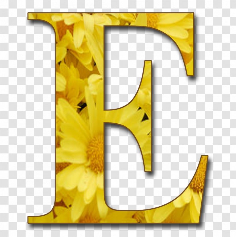 Letter Yellow Alphabet - Floral LETTER Transparent PNG