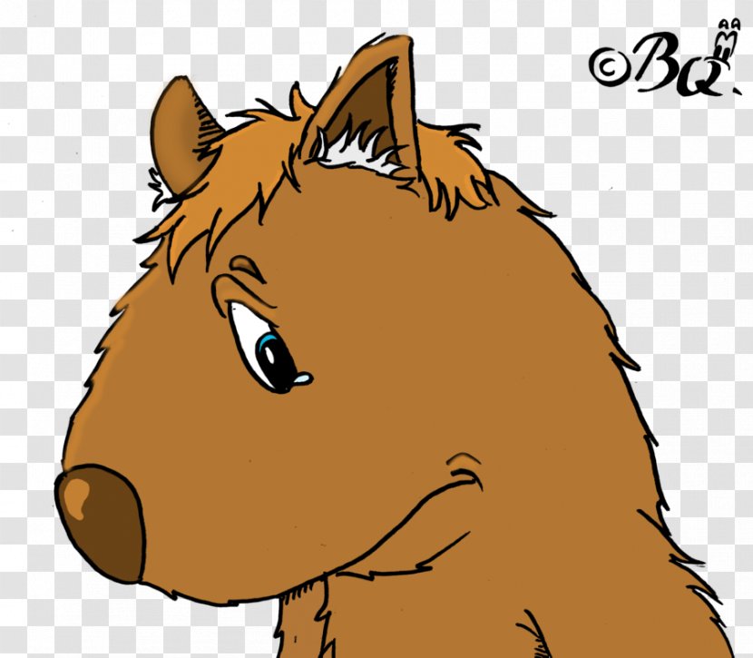 Mane Mustang Donkey Halter Cat - Horse - Cartoon Wombat Transparent PNG
