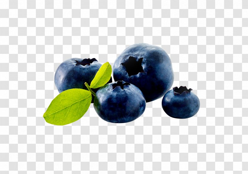 Blueberry Food Bilberry Huckleberry - Berry Transparent PNG