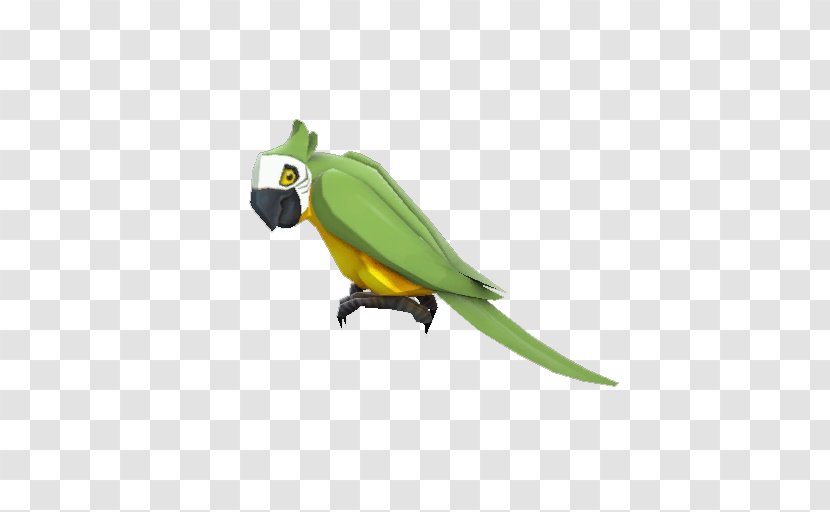 Team Fortress 2 Counter-Strike: Global Offensive Dota Video Game - Feather - Parrot Transparent PNG