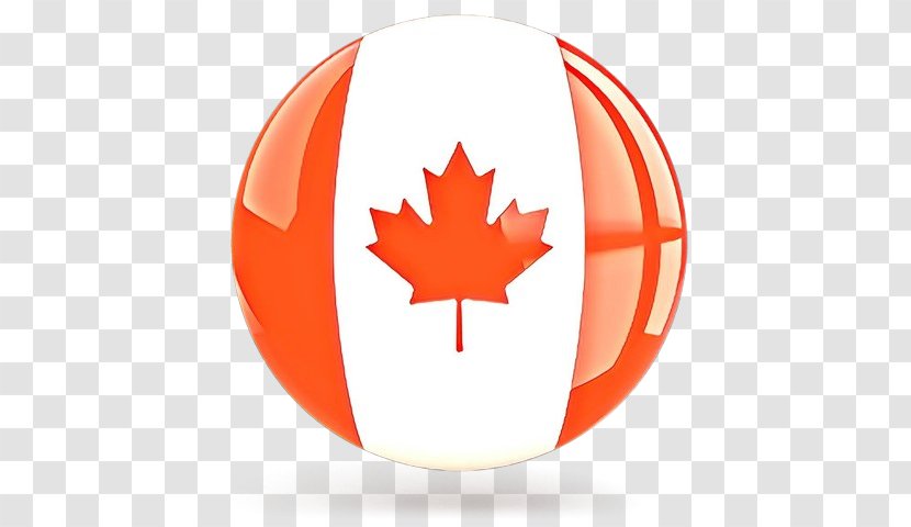 Canada Maple Leaf - Tree - Sports Equipment Plant Transparent PNG