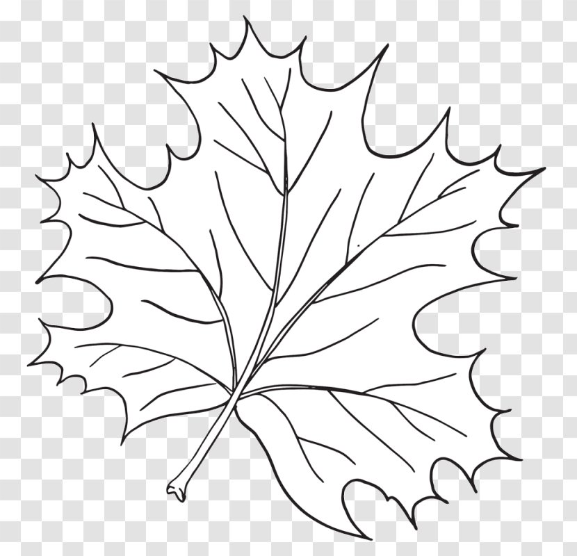 Clip Art Leaf Plants Twig Biology Clipart - Tree Transparent PNG