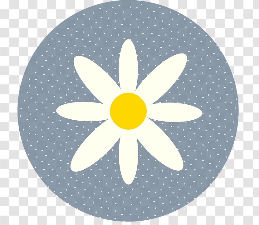 Drawing Yellow Common Daisy - Video - Polka Dot Circle Transparent PNG