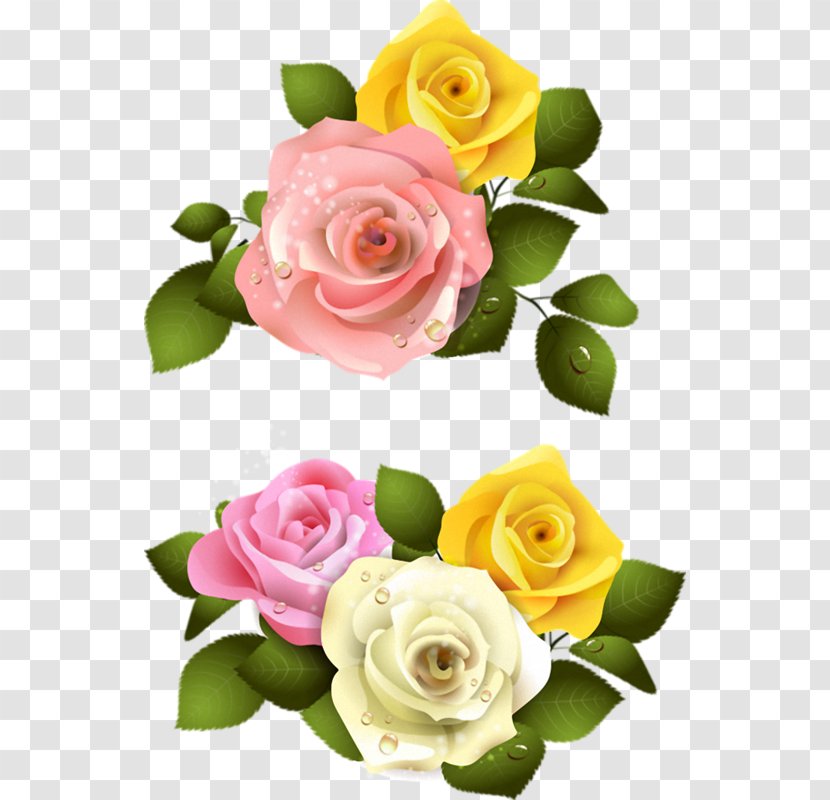 Flower Drawing Picture Frames Clip Art Transparent PNG