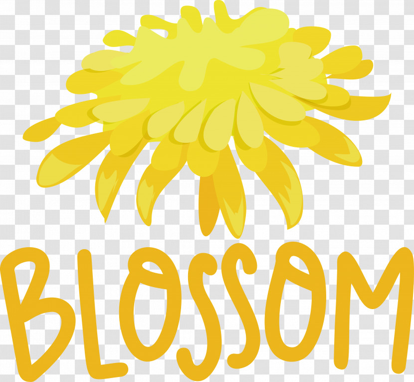 Floral Design Transparent PNG