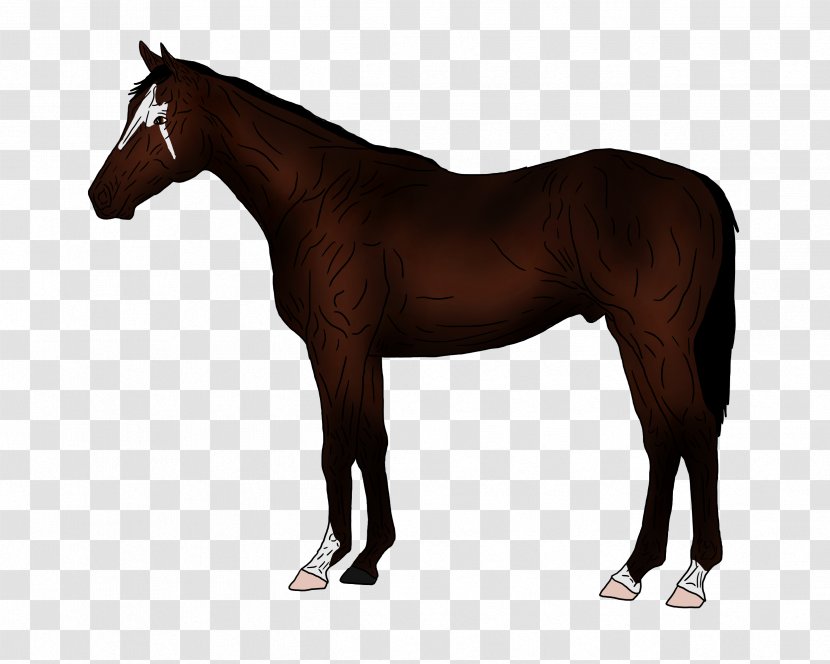 Thoroughbred American Paint Horse Quarter Stallion Black Forest - Rein - Traffic Jam Transparent PNG