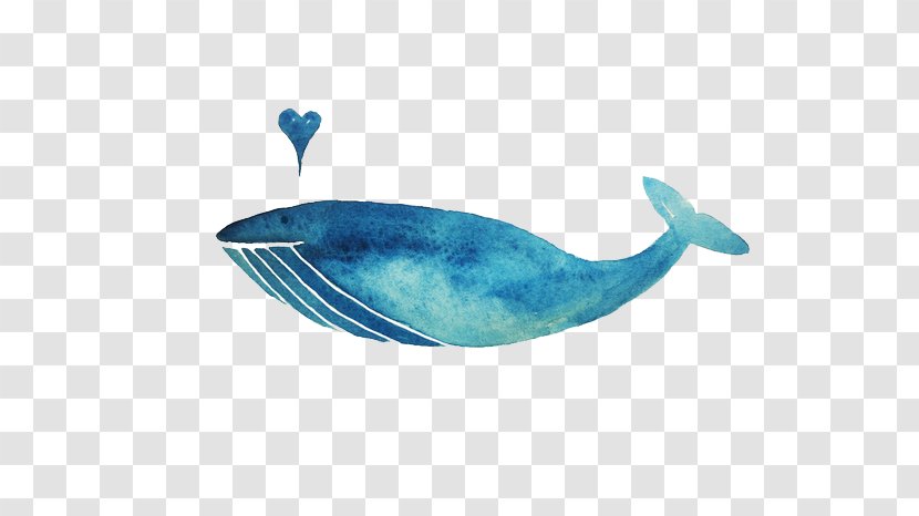 Whale Blue Marine Mammal Illustration - Turquoise Transparent PNG