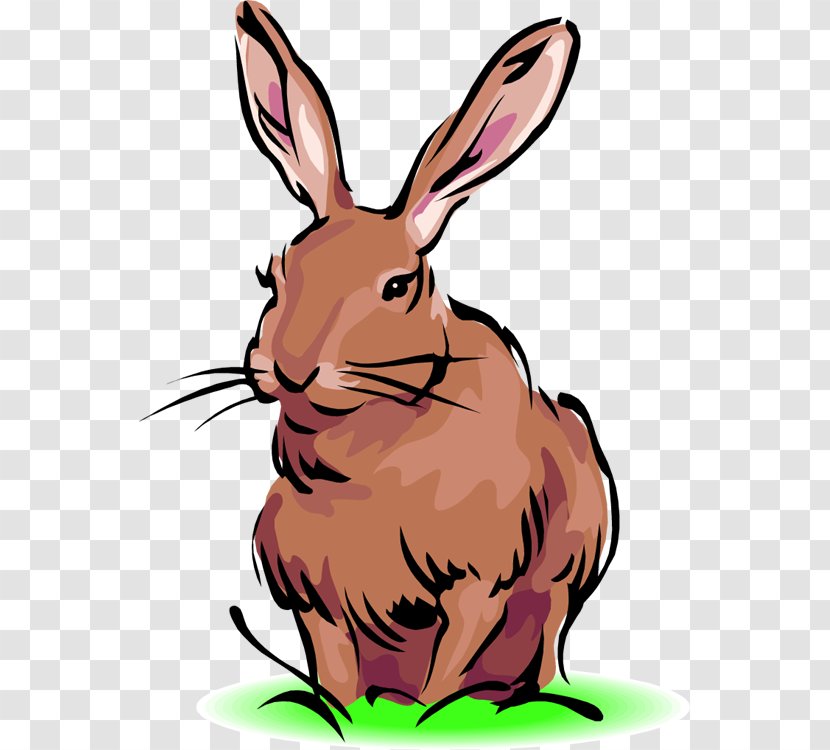Easter Bunny Black-tailed Jackrabbit Domestic Rabbit Clip Art - Thanksgiving Cliparts Transparent PNG