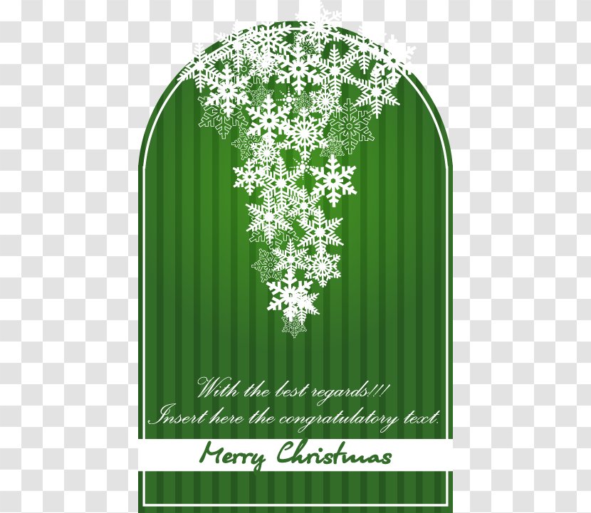 Green Clip Art - Text Box - Snowflake Background Pattern Door Type Transparent PNG