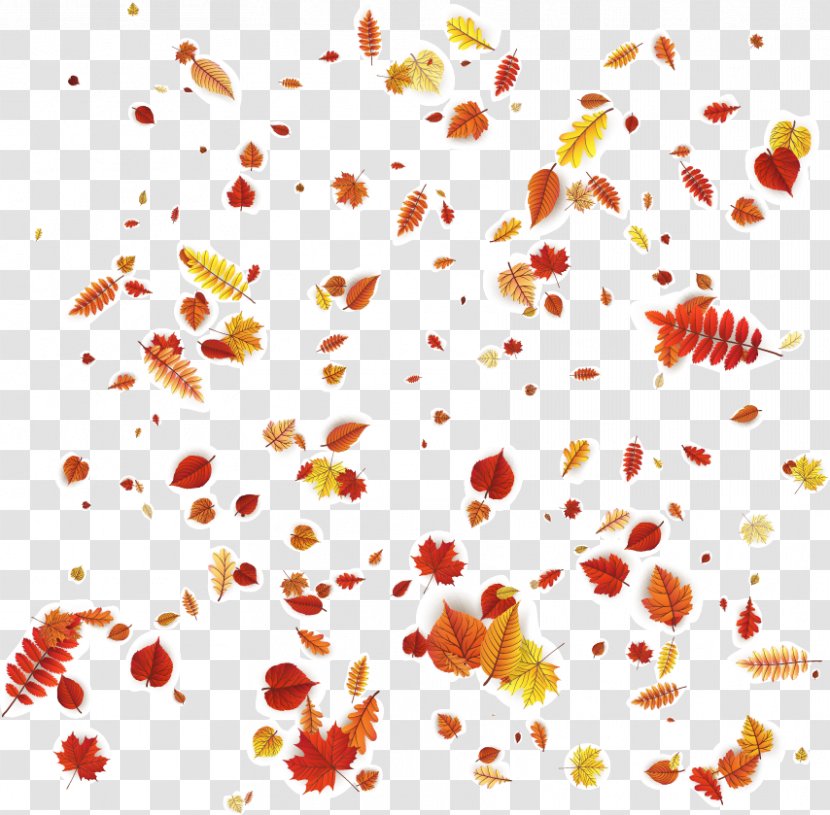 Petal Floral Design Orange Pattern - Autumn Leaves - Vector Falling Transparent PNG