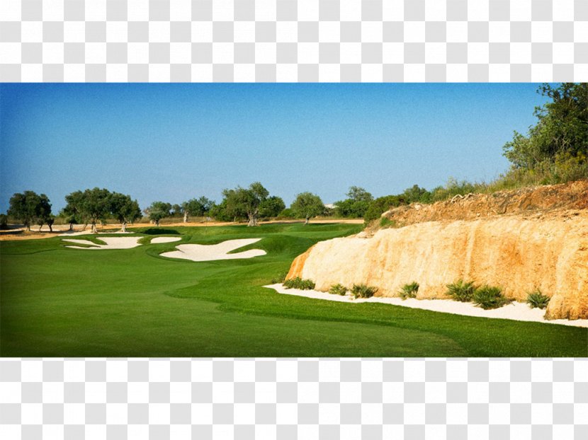 Golf Course Recreation Clubs Grassland - Grass Transparent PNG