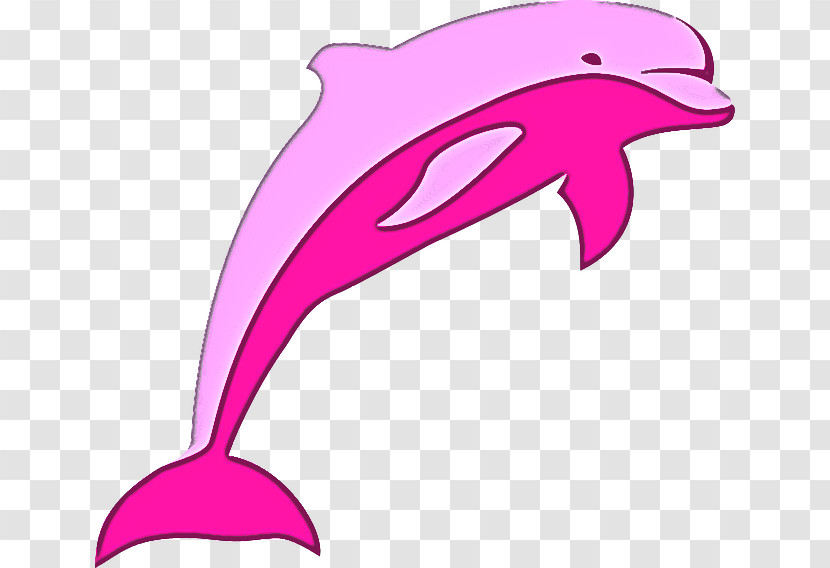 Dolphin Bottlenose Dolphin Pink Short-beaked Common Dolphin Fin Transparent PNG