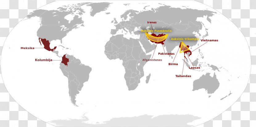 Palearctic Realm Nearctic Indomalayan Biogeographic Biogeography - Heart - Tree Transparent PNG