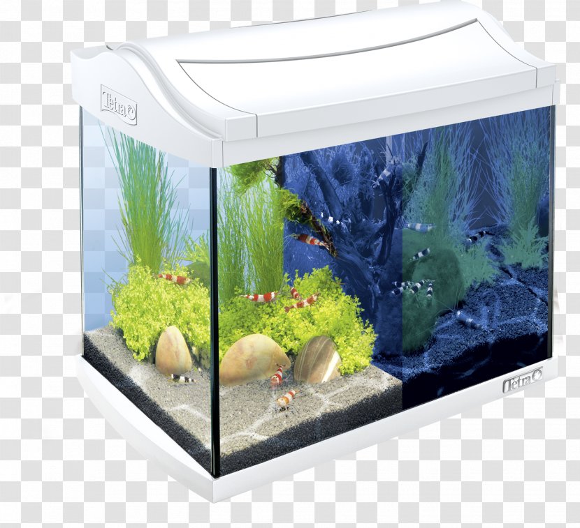 Aquarium Filters Tetra Pet Shop Live Rock - Freshwater - Decoration Transparent PNG