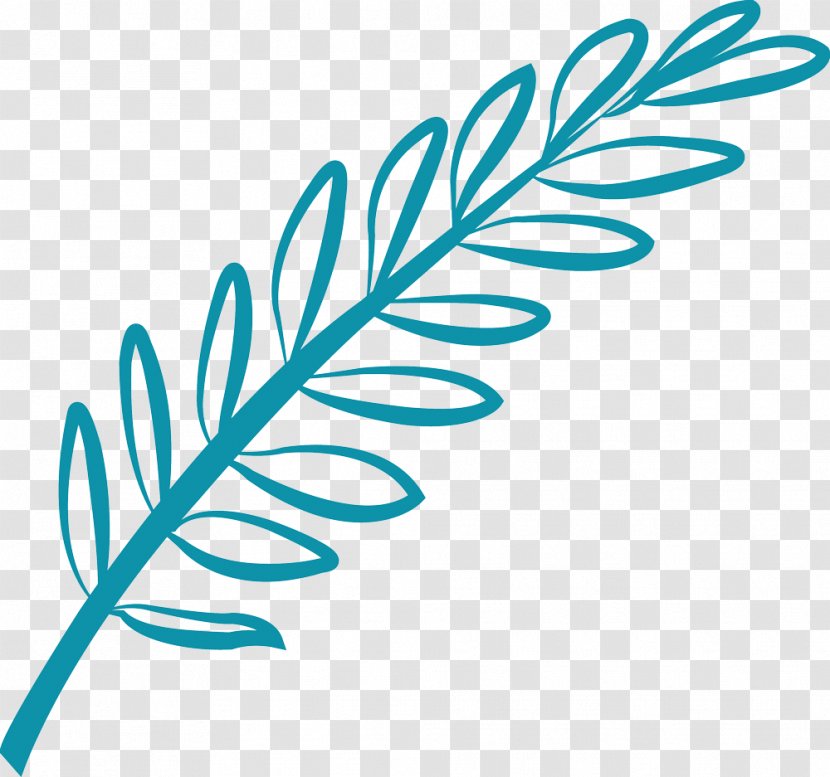 Leaf Plant Stem Flower Clip Art - Olive Branch Transparent PNG