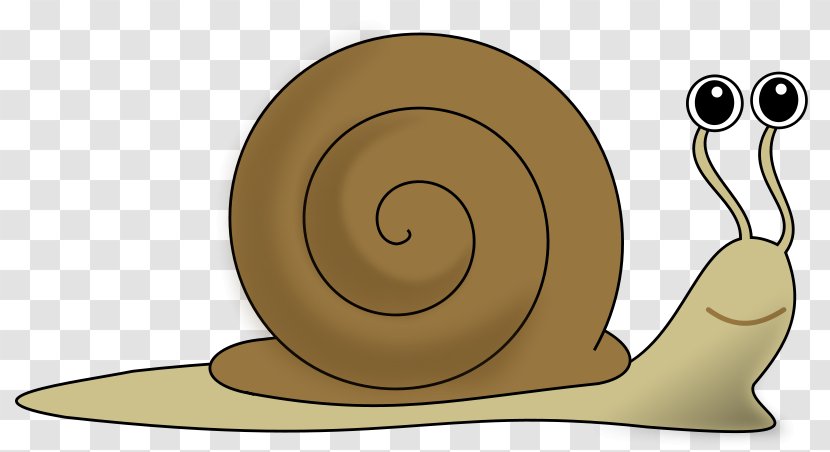 Escargot Sea Snail Clip Art - Royaltyfree - Brown Cartoon Transparent PNG