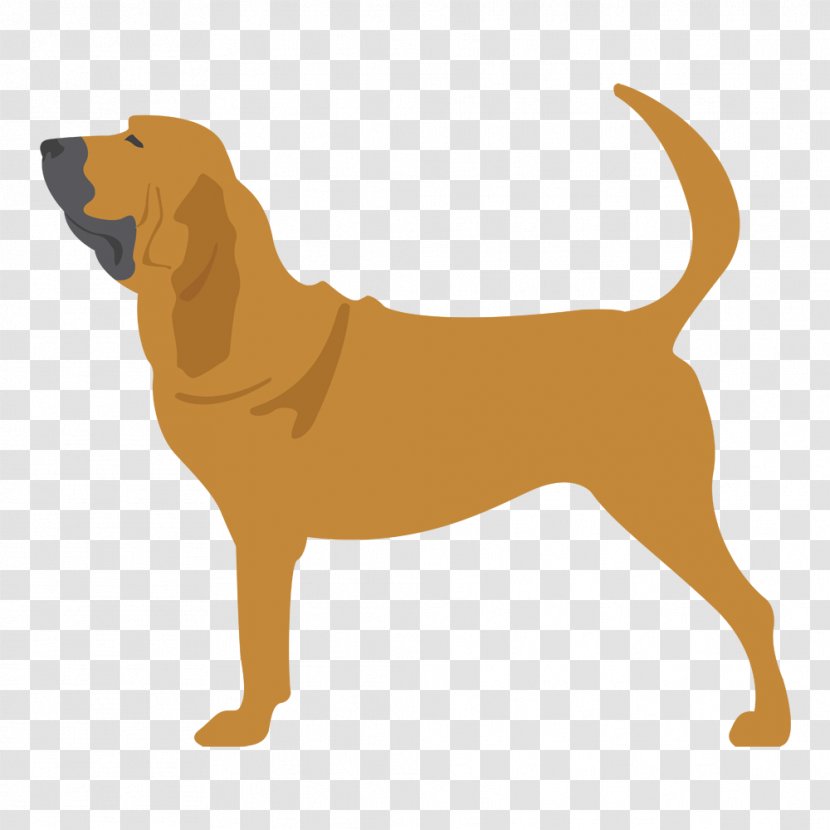 Dog Breed Puppy Companion English Cocker Spaniel Sabueso Español Transparent PNG