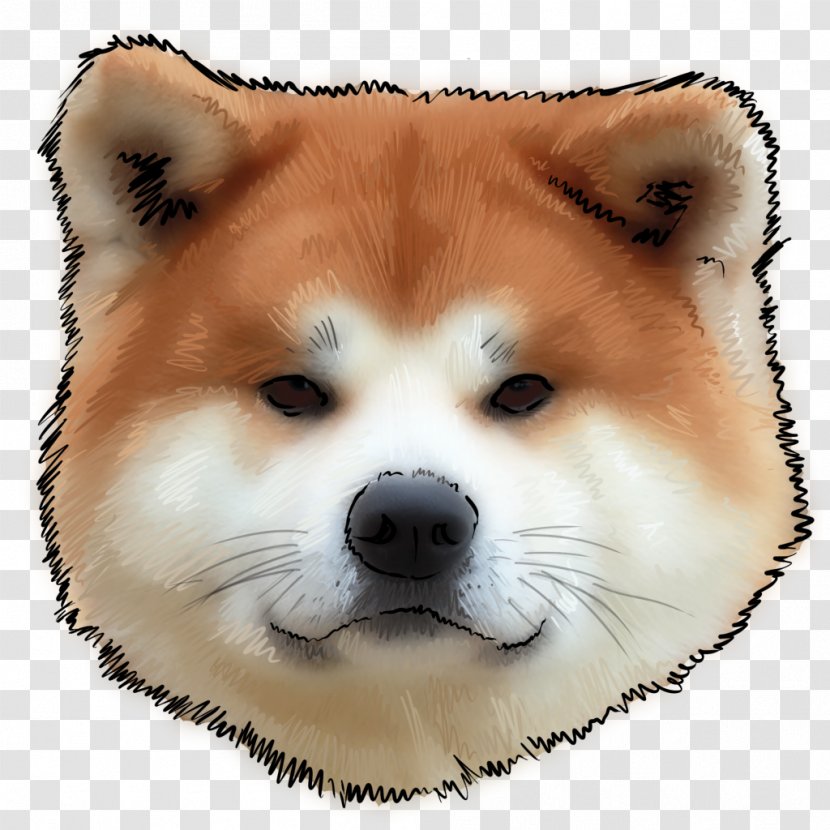 The Akita Shiba Inu Puppy Tosa - Whiskers Transparent PNG